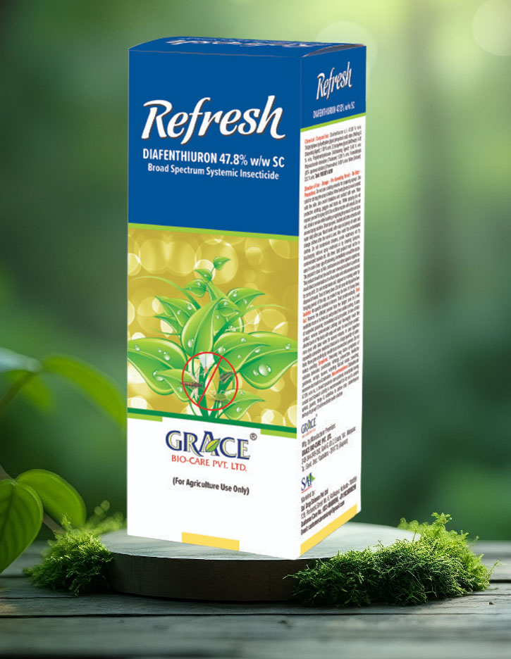 Refresh