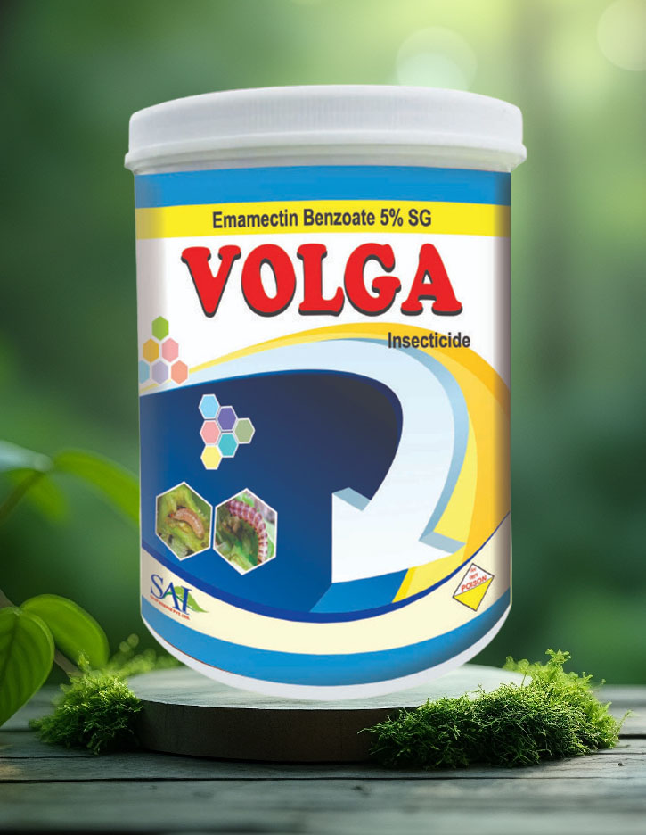Volga