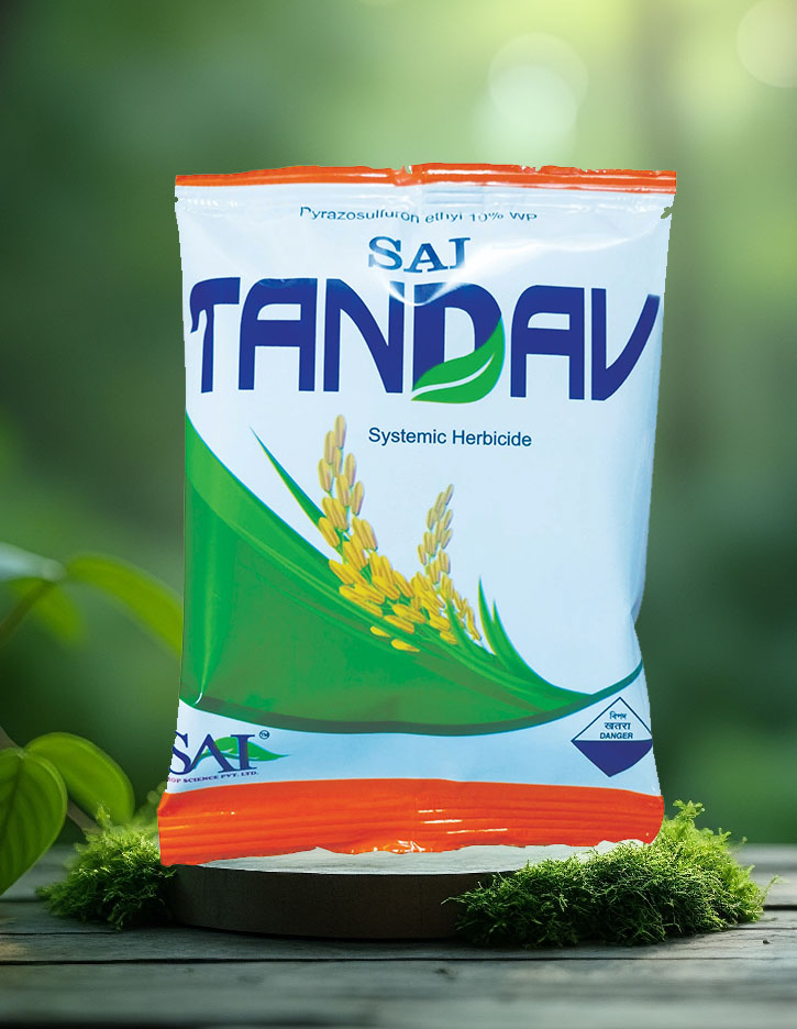 Sai Tandav 
