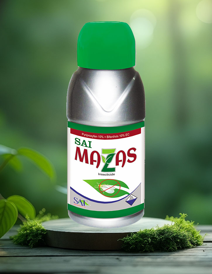 Sai Mazas 