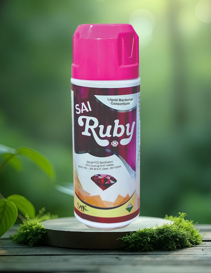 Sai Ruby