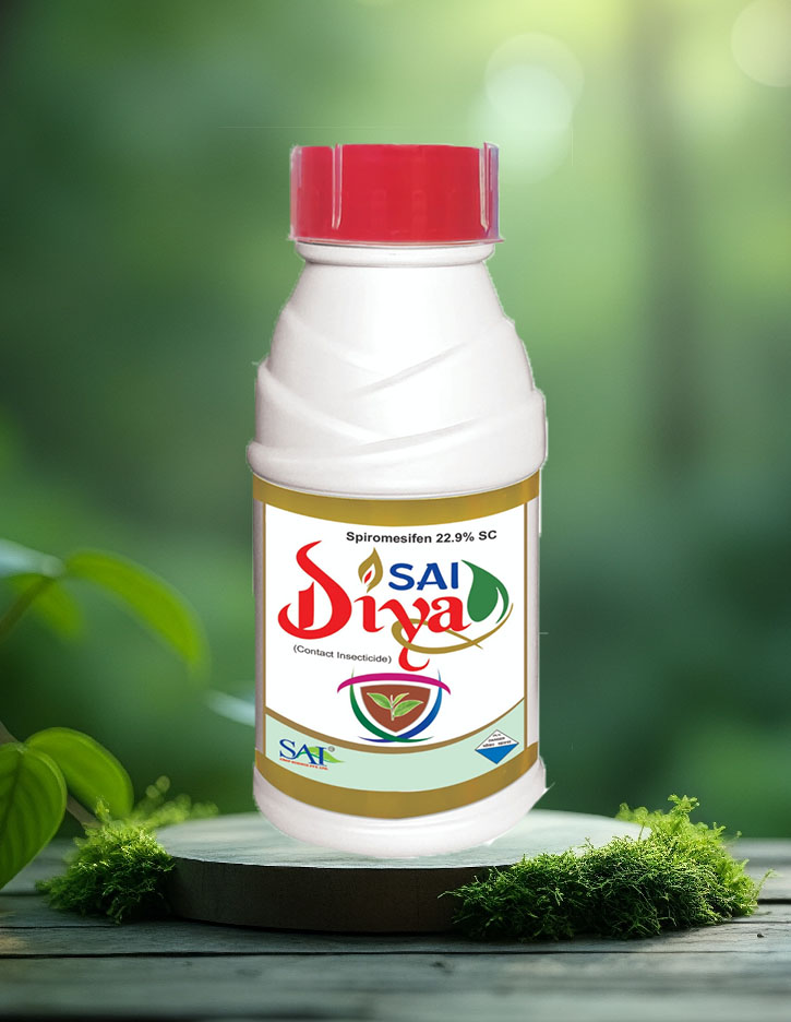 Sai Diya