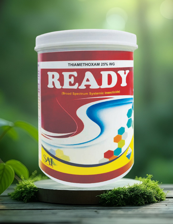 Ready