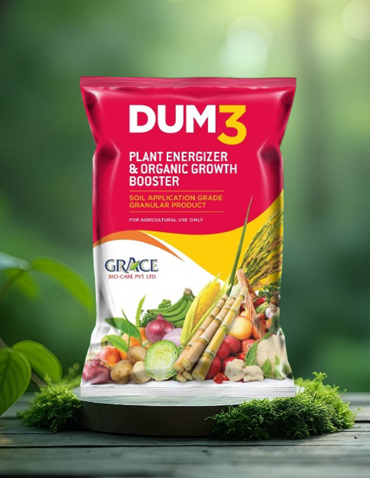 DUM3 
