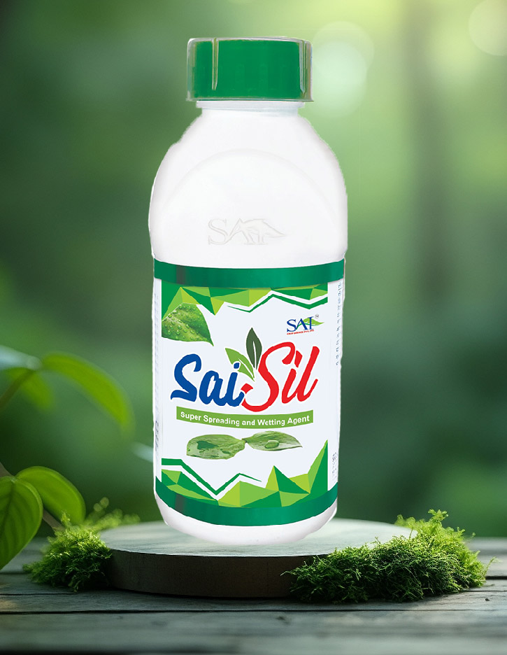 Sai Sil
