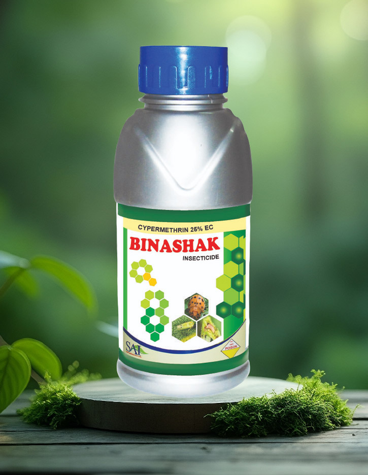 Binashak